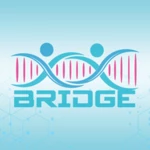 Logo of Bridge android Application 